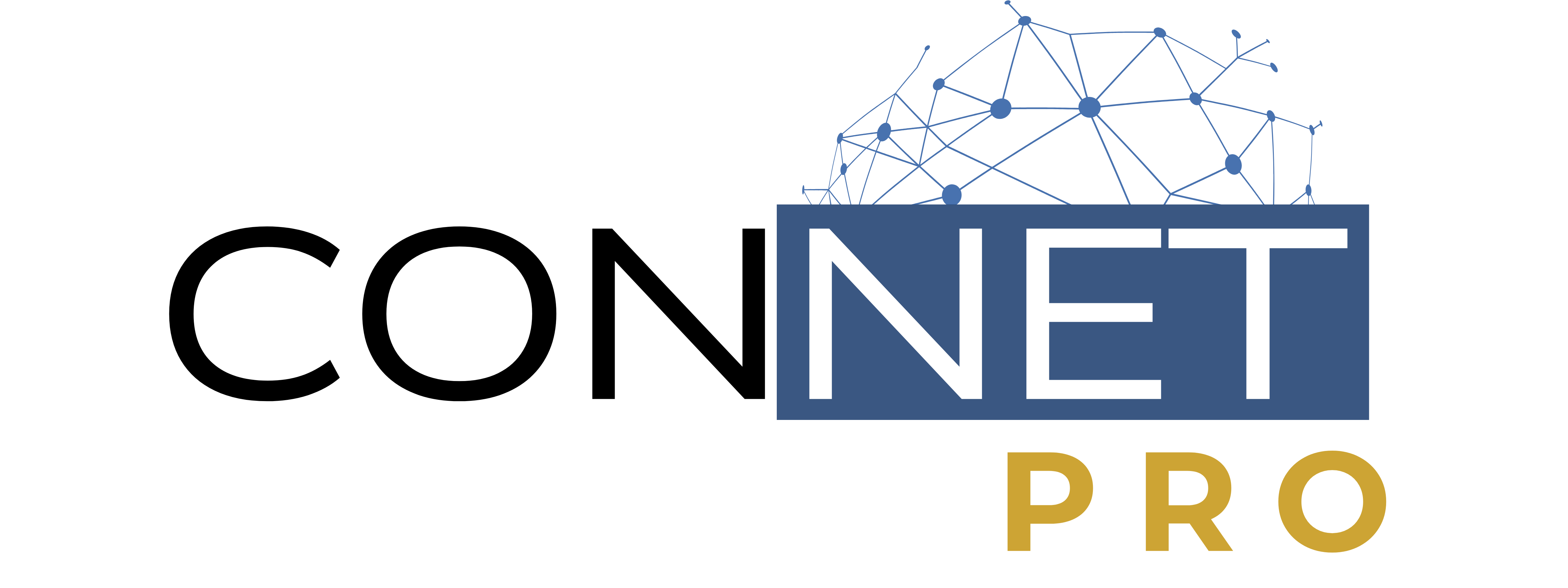 Rete Immobiliare PRO